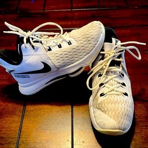 Nike LeBron Whitness 5